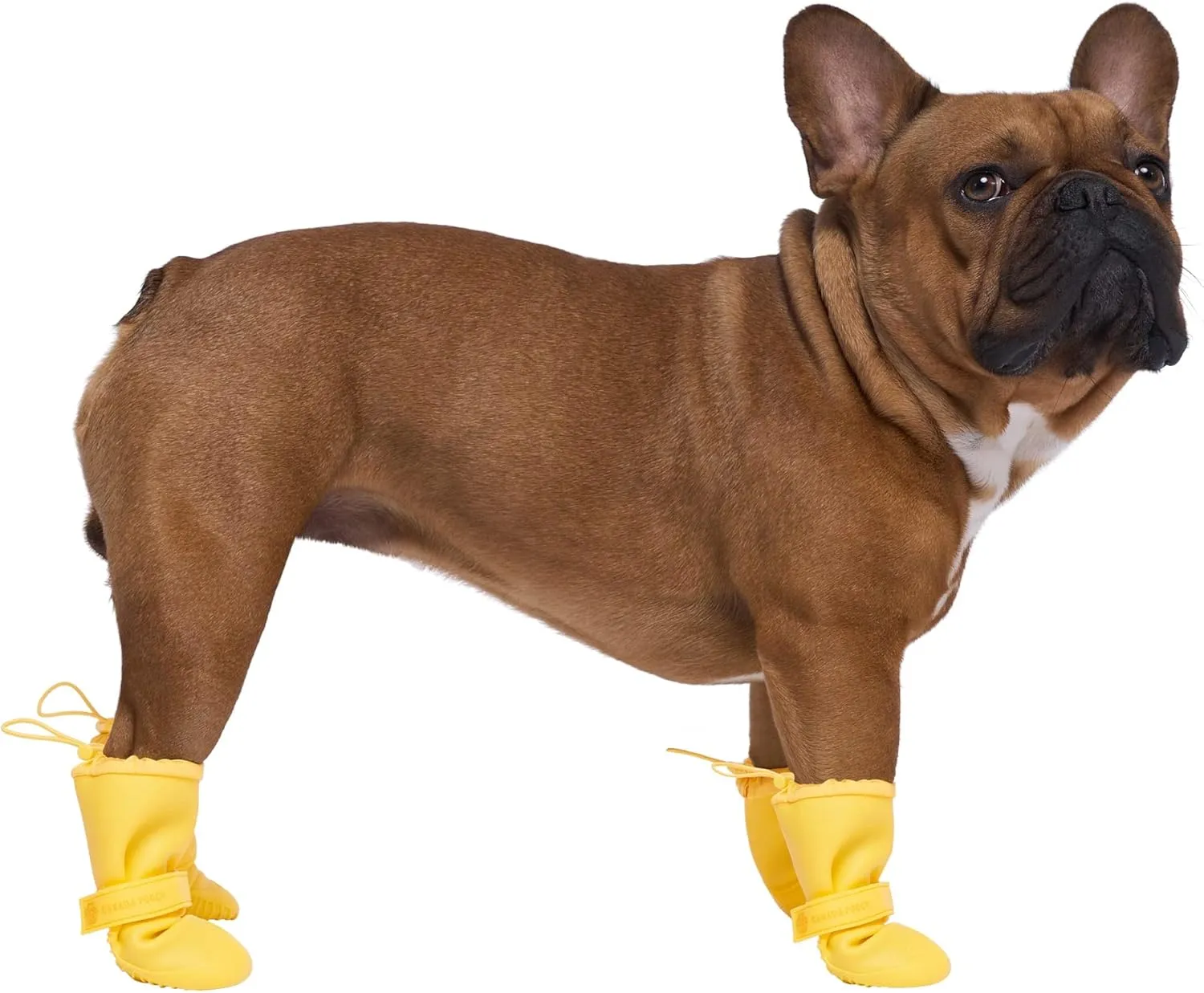 Canada Pooch Waterproof Boots - Dog Boots & Paw Protectors with Anti Slip Rubber | Easy On Waterproof Boots for Dogs with Velcro Strap, Great for Dogs